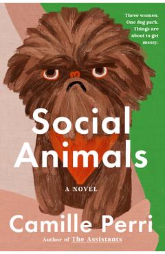 Coperta cărții 'Social Animals - Camille Perri'