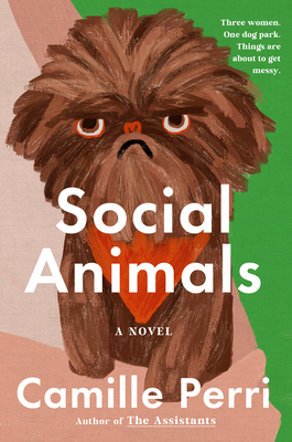 Coperta cărții 'Social Animals - Camille Perri'