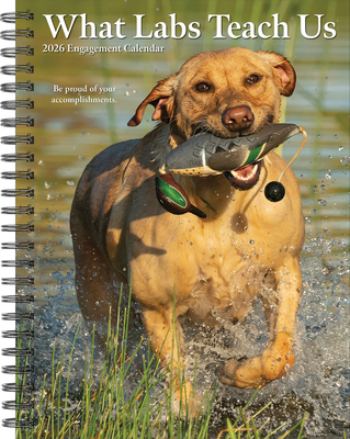 What Labs Teach Us 2026 6.5 X 8.5 Engagement Calendar - 