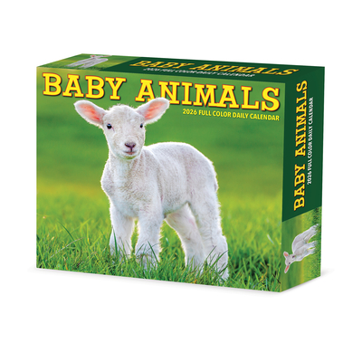 Baby Animals 2026 5.4 X 6.2 Box Calendar - 