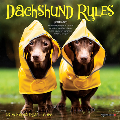 Dachshund Rules 2026 7 X 7 Mini Wall Calendar - 