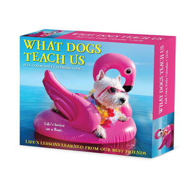 What Dogs Teach Us 2026 5.4 X 6.2 Box Calendar - 