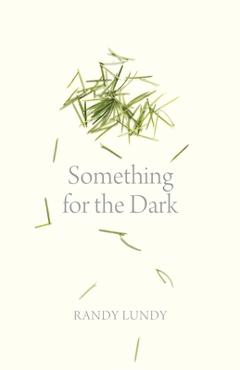 Poza produsului Something for the Dark - Randy Lundy