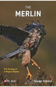 Coperta cărții 'The Merlin: The Ecology of a Magical Raptor - Frank Rennie'