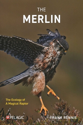 The Merlin: The Ecology of a Magical Raptor - Frank Rennie