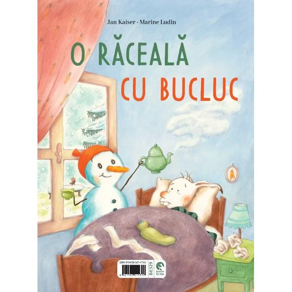 In asteptarea zapezii. O raceala cu bucluc - Jan Kaiser