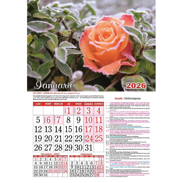 Calendar 2026: Flori