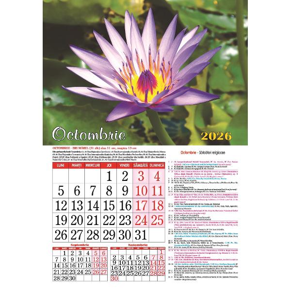 Calendar 2026: Flori