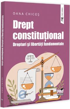 Poza produsului Drept constitutional. Drepturi si libertati fundamentale - Oana Chicos