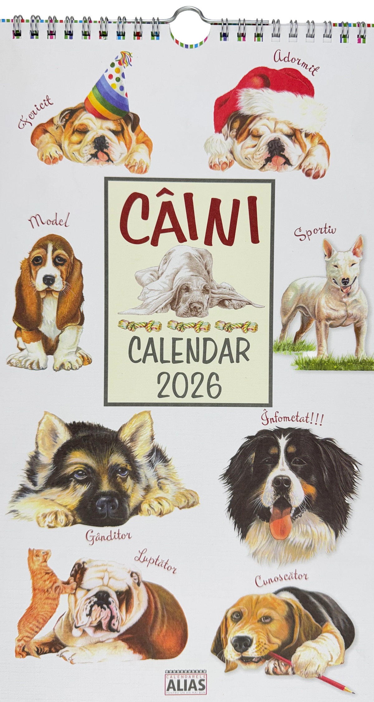 Calendar 2026: Caini