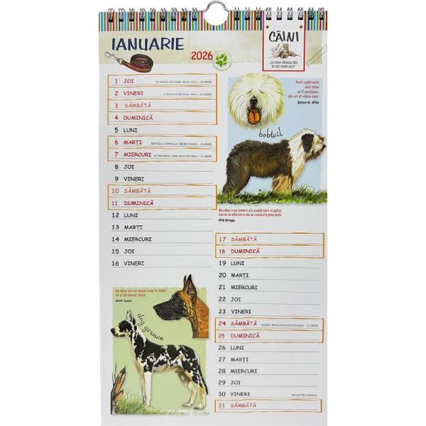 Calendar 2026: Caini