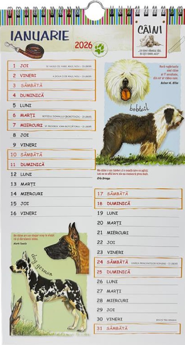 Calendar 2026: Caini