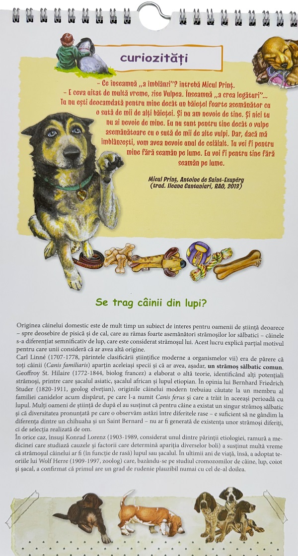 Calendar 2026: Caini