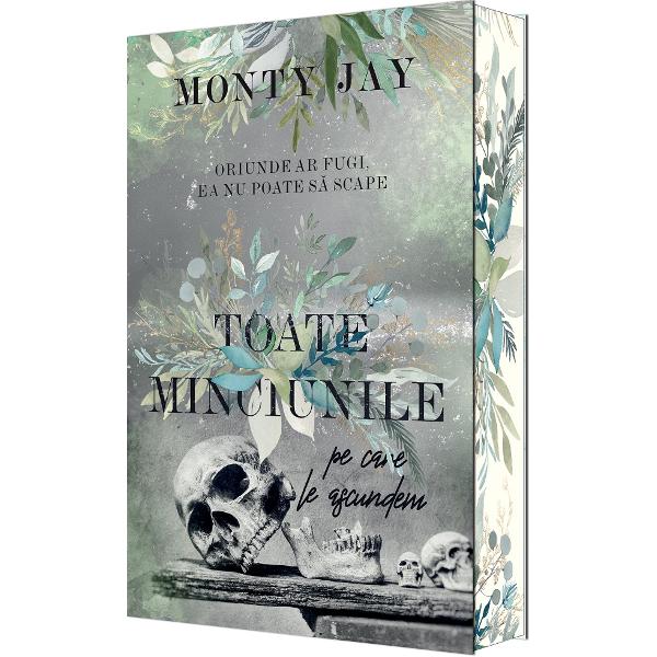 Toate minciunile pe care le ascundem. Seria Hollow Boys Cartea 1 - Monty Jay