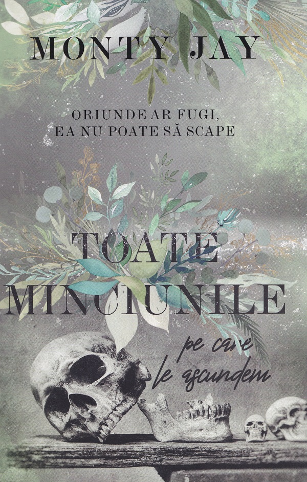 Toate minciunile pe care le ascundem. Seria Hollow Boys Cartea 1 - Monty Jay