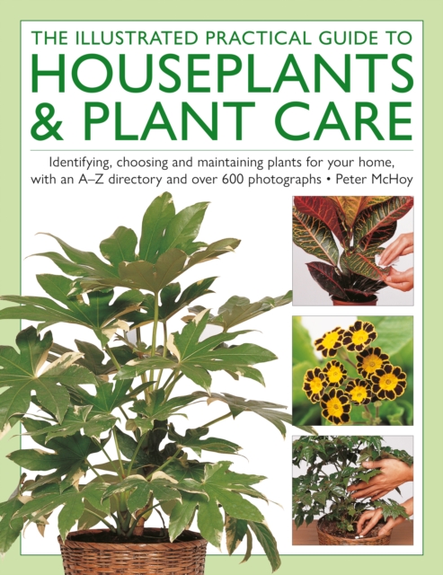 Coperta cărții 'Illustrated Practical Guide to Houseplants & Plant Care - Peter Mchoy'