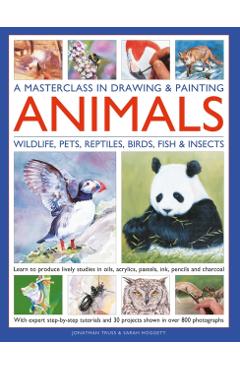 Poza produsului Masterclass in Drawing & Painting Animals (Wildlife, Pets, Reptiles, Birds, Fish & Insects) - Jonathan|hoggett Truss