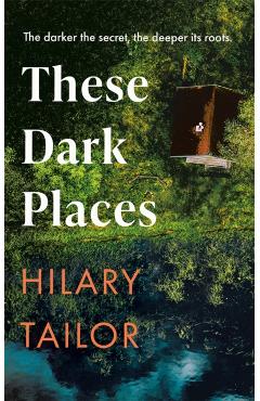 Coperta cărții 'These Dark Places - Hilary Tailor'