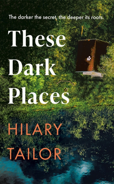 Coperta cărții 'These Dark Places - Hilary Tailor'