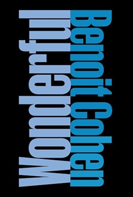 Wonderful - Benoit Cohen