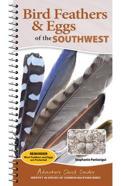 Coperta cărții 'Bird Feathers & Eggs of the Southwest: Identify 40 Species of Common Backyard Birds - Stephanie Panlasigui'