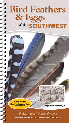 Coperta cărții 'Bird Feathers & Eggs of the Southwest: Identify 40 Species of Common Backyard Birds - Stephanie Panlasigui'