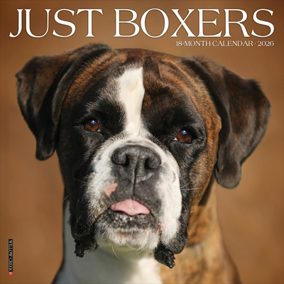 Boxers 2026 12 X 12 Wall Calendar - 