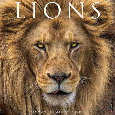 Lions 12 X 12 Wall Calendar - 