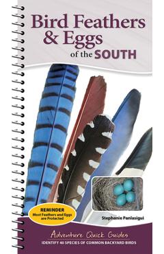 Coperta cărții 'Bird Feathers & Eggs of the South: Identify 40 Species of Common Backyard Birds - Stephanie Panlasigui'