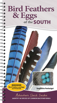 Coperta cărții 'Bird Feathers & Eggs of the South: Identify 40 Species of Common Backyard Birds - Stephanie Panlasigui'