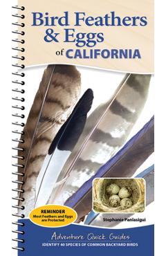 Coperta cărții 'Bird Feathers & Eggs of California: Identify 40 Species of Common Backyard Birds - Stephanie Panlasigui'