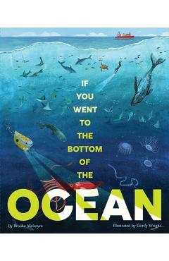 Coperta cărții 'If You Went to the Bottom of the Ocean - Brooke Mcintyre'