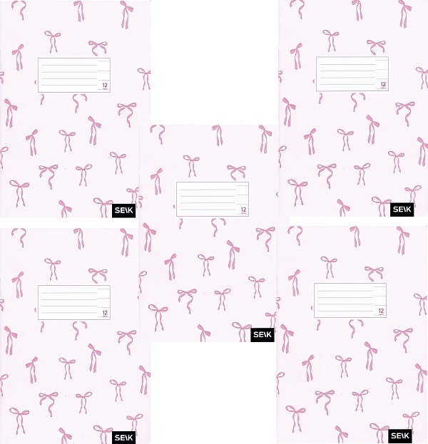 Set 5 caiete dictando 12 file. Fundite roz