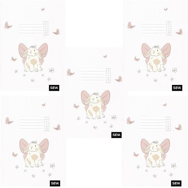 Set 5 caiete matematica 12 file. Iepuras