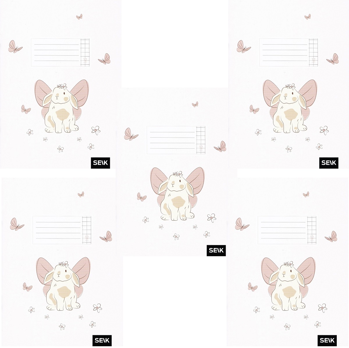 Set 5 caiete matematica 12 file. Iepuras