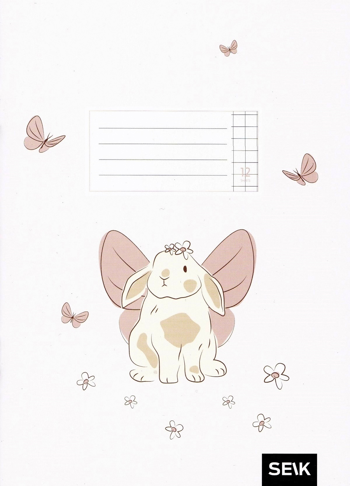 Set 5 caiete matematica 12 file. Iepuras