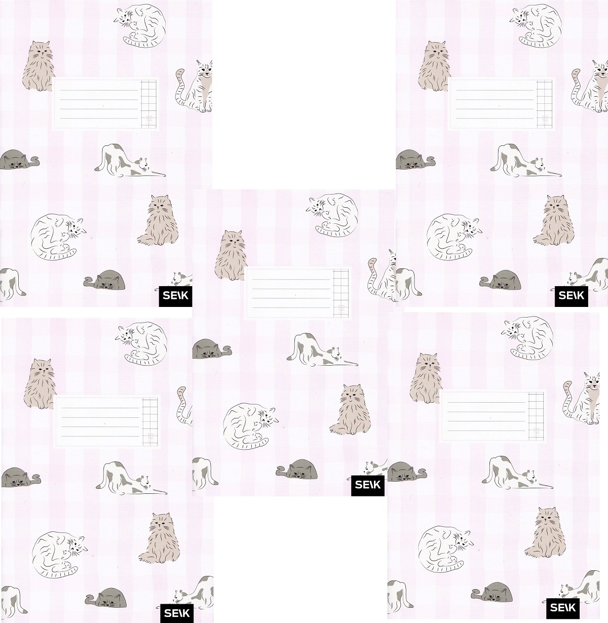 Set 5 caiete matematica 12 file. Pisici