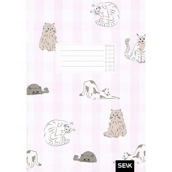 Set 5 caiete matematica 12 file. Pisici