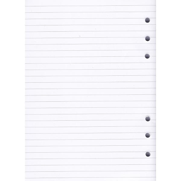 Pagini liniate pentru planificator