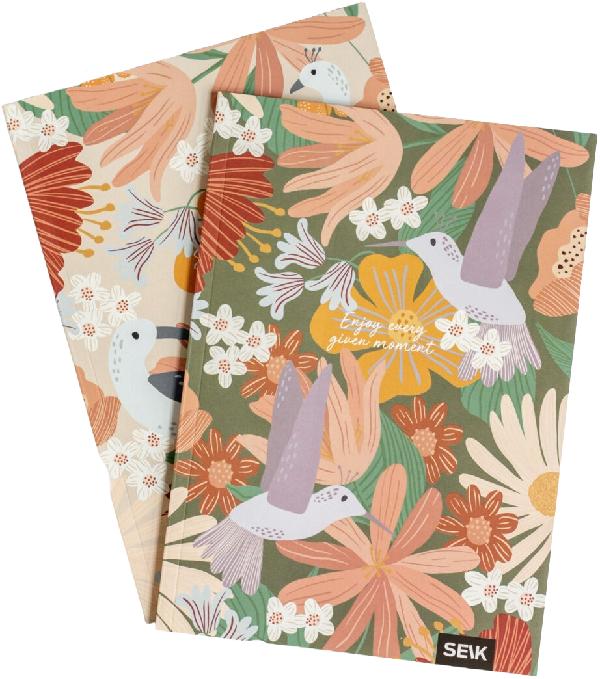  Set 2 caiete liniatura punctata: Jungla si pasari