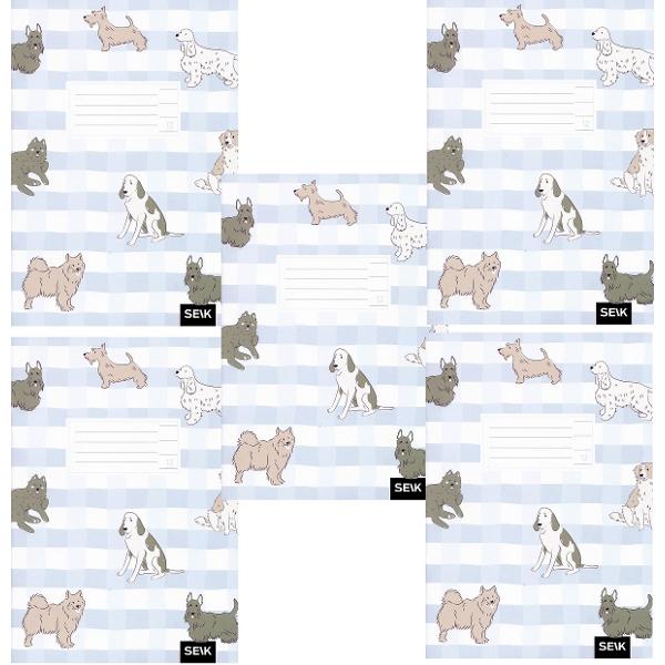 Set 5 caiete dictando 12 file. Catei