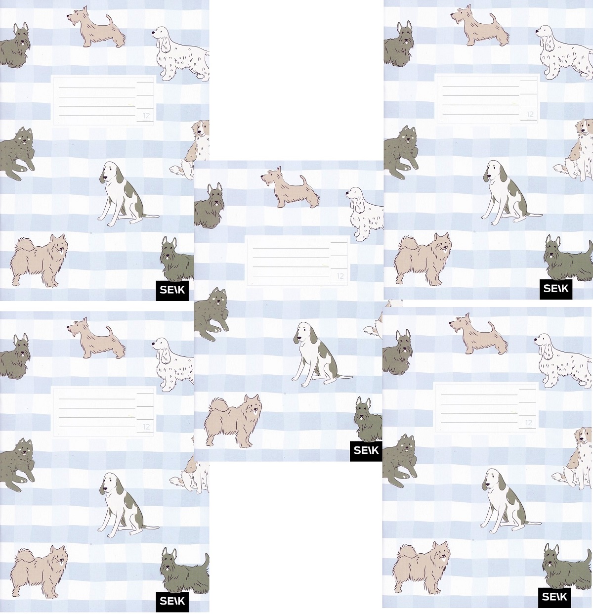 Set 5 caiete dictando 12 file. Catei