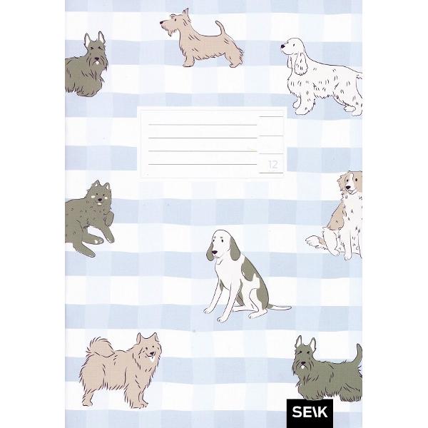 Set 5 caiete dictando 12 file. Catei