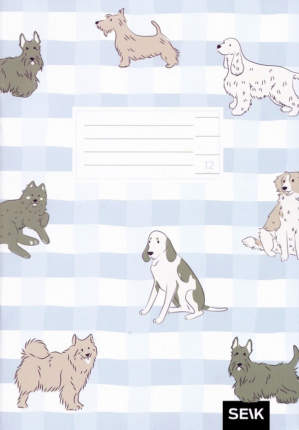 Set 5 caiete dictando 12 file. Catei