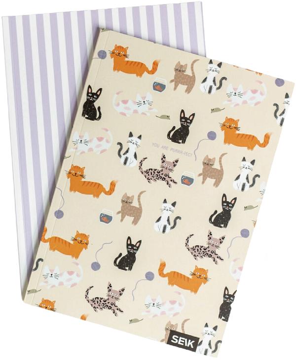 Set 2 caiete dictando si matematica: Kitties and Happiness