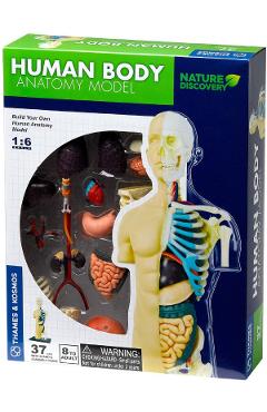 Poza produsului Set educativ STEM: Anatomia corpului