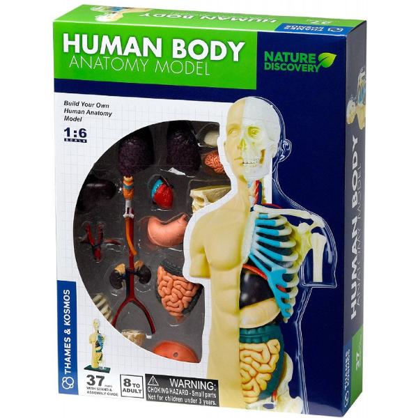 Set educativ STEM: Anatomia corpului