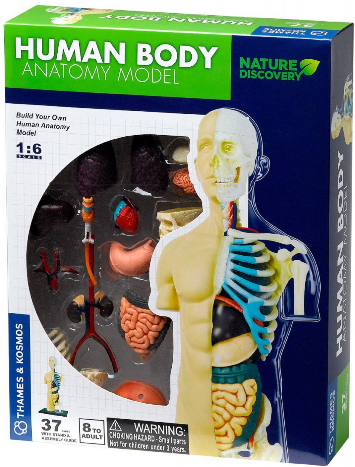 Set educativ STEM: Anatomia corpului