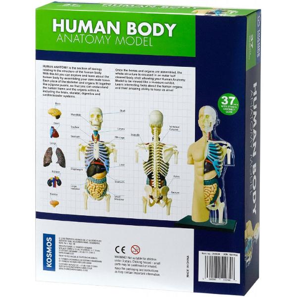 Set educativ STEM: Anatomia corpului