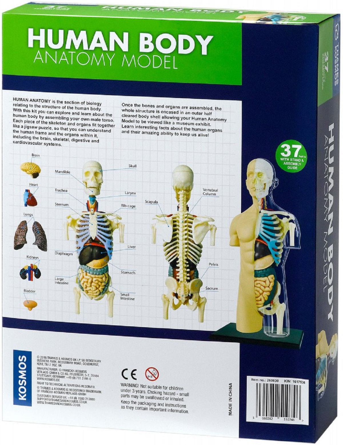 Set educativ STEM: Anatomia corpului